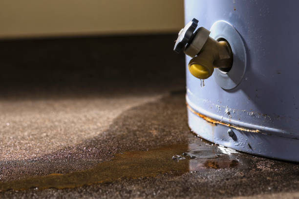 Best 24/7 water damage repair  in New Paris, OH