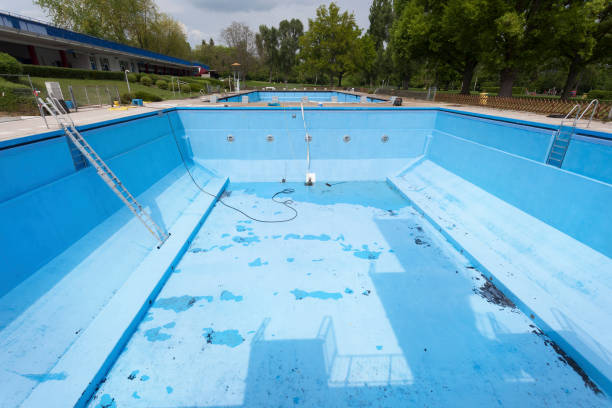 Best Professional water damage repair  in New Paris, OH