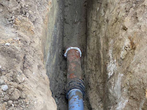 Best Flood damage cleanup  in New Paris, OH