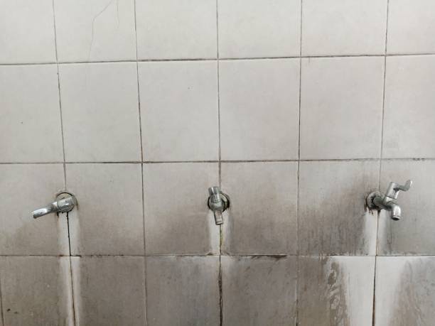Best Water damage cleanup near me  in New Paris, OH