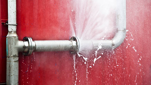 Best Mold removal after water damage  in New Paris, OH